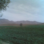 بررسی تاریخ محلی روستای همگین